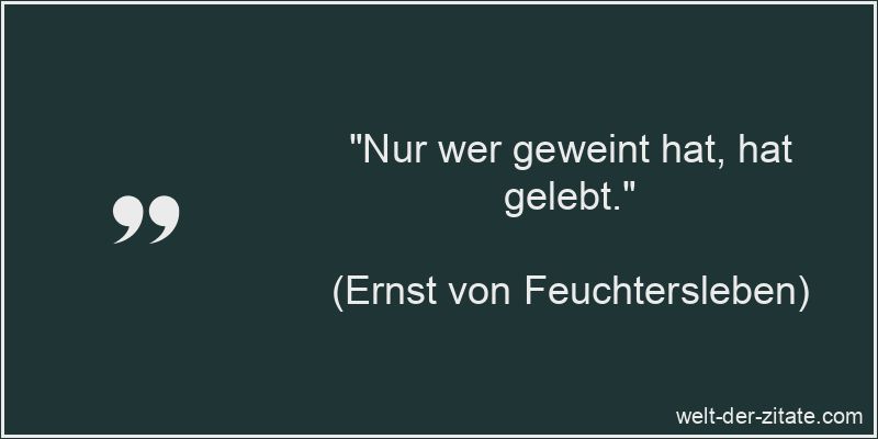 „Nur wer geweint hat, hat gelebt.“ Ernst von Feuchtersleben Zitat Weinen: Nur wer geweint hat, hat