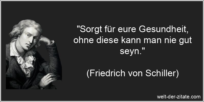Friedrich von Schiller Zitat Gesundheit: Sorgt für eure Gesundheit,
