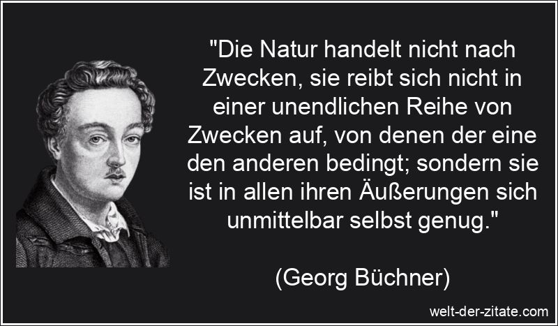 „Die Natur handelt nicht nach Zwecken, sie reibt sich nicht in einer unendlichen Reihe von Zwecken auf, von denen der eine den anderen bedingt; sondern sie ist in allen ihren Äußerungen sich unmittelbar selbst genug.“ Georg Büchner Zitat Natur: Die Natur handelt nicht nach Zwecken, sie