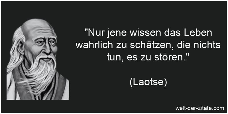 Laotse Zitat das Leben: Nur jene wissen das Leben wahrlich zu