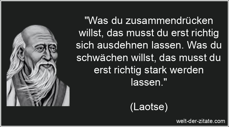 „Was du zusammendrücken willst, das musst du erst richtig sich ausdehnen lassen. Was du schwächen willst, das musst du erst richtig stark werden lassen.“ Laotse Zitat Schwäche: Was du zusammendrücken willst, das musst du