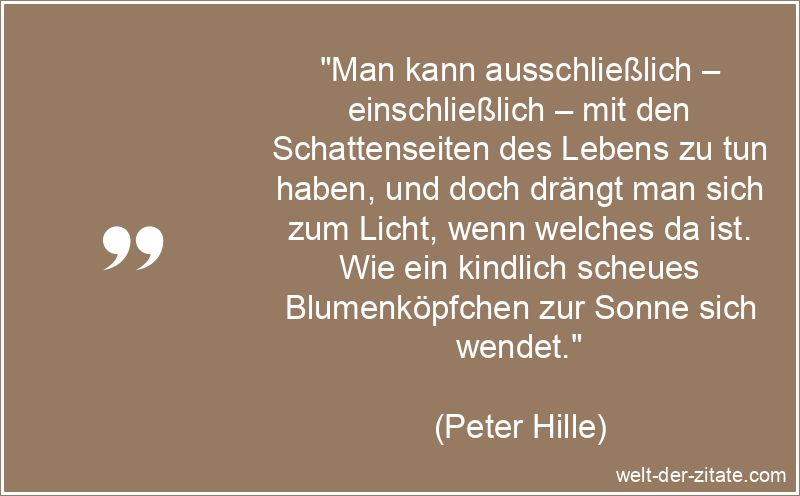 „Man kann ausschließlich – einschließlich – mit den Schattenseiten des Lebens zu tun haben, und doch drängt man sich zum Licht, wenn welches da ist. Wie ein kindlich scheues Blumenköpfchen zur Sonne sich wendet.“ Peter Hille Zitat Schattenseiten: Man kann ausschließlich –