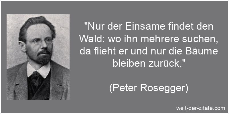 Peter Rosegger Zitat Einsamkeit: Nur der Einsame findet den Wald: wo