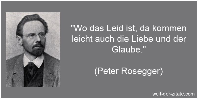 Peter Rosegger Zitat Leid & Leiden: Wo das Leid ist, da kommen