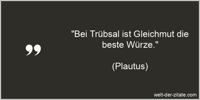 „Bei Trübsal ist Gleichmut die beste Würze.“ Plautus Zitat Trübsal: Bei Trübsal ist Gleichmut die beste Würze.