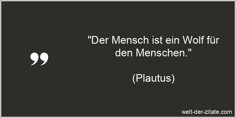 Plautus Zitat Unmenschlichkeit: Der Mensch ist ein Wolf für den