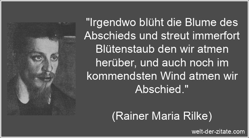 „Irgendwo blüht die Blume des Abschieds und streut immerfort Blütenstaub den wir atmen herüber, und auch noch im kommendsten Wind atmen wir Abschied.“ Rainer Maria Rilke Zitat Abschied: Irgendwo blüht die Blume des