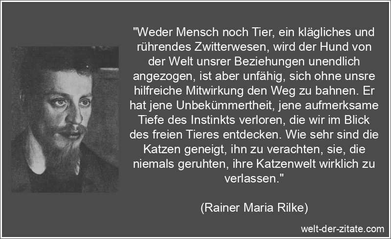 Rainer Maria Rilke Zitat Hunde: Weder Mensch noch Tier, ein