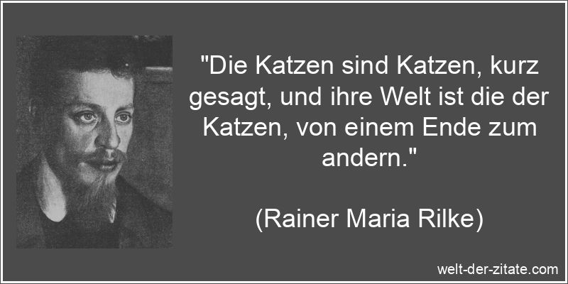 Rainer Maria Rilke Zitat Katzen: Die Katzen sind Katzen, kurz gesagt,