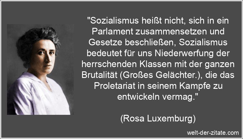 Rosa Luxemburg Zitat Sozialismus: Sozialismus heißt nicht, sich in