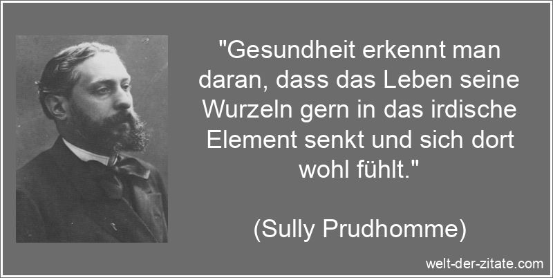 Sully Prudhomme Zitat Gesundheit: Gesundheit erkennt man daran, dass