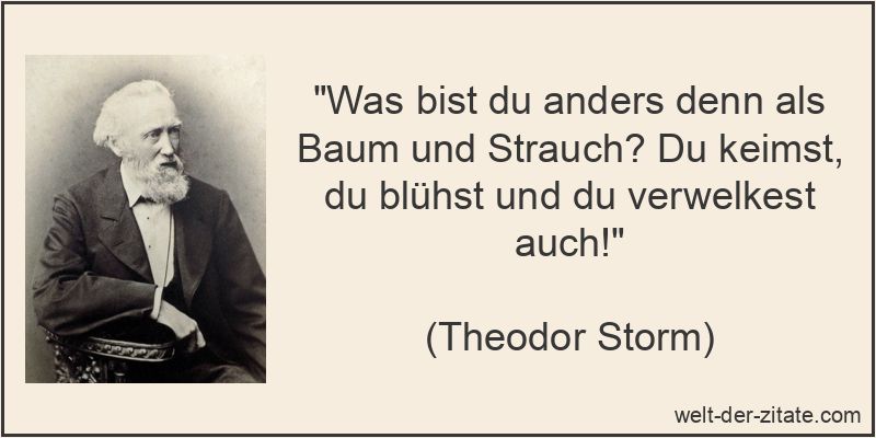 Theodor Storm Zitat Menschheit: Was bist du anders denn als Baum und