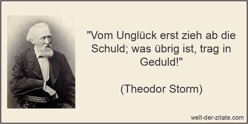 Theodor Storm Zitat Unglück: Vom Unglück erst zieh ab die Schuld;