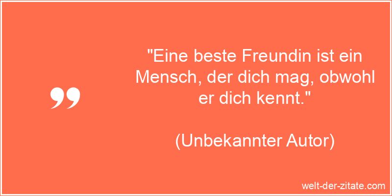 Beste Freundin Spruch - Eine beste Freundin ist ein Mensch, der dich