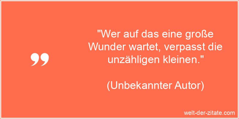 Kurzes Zitat Weisheit, Wunder - Welt-der-Zitate.com