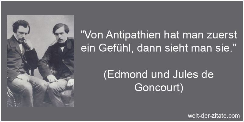 „Von Antipathien hat man zuerst ein Gefühl, dann sieht man sie.“ Edmond und Jules de Goncourt Zitat Antipathie: Von Antipathien hat