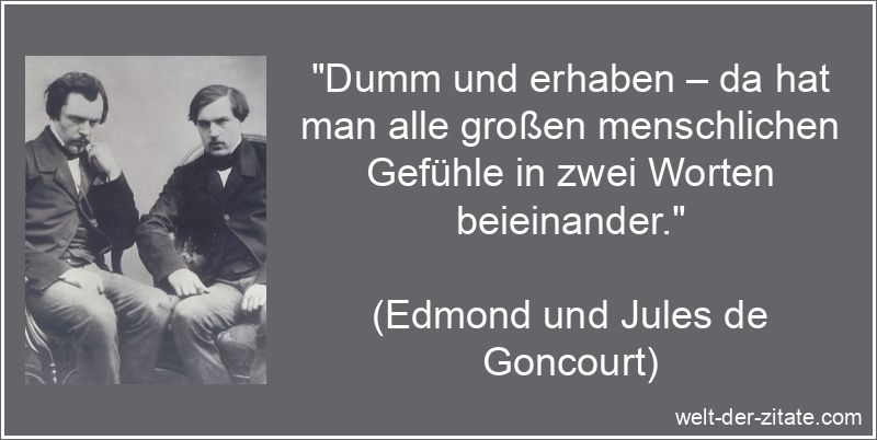 Edmond und Jules de Goncourt Zitat Dummheit: Dumm und erhaben – da