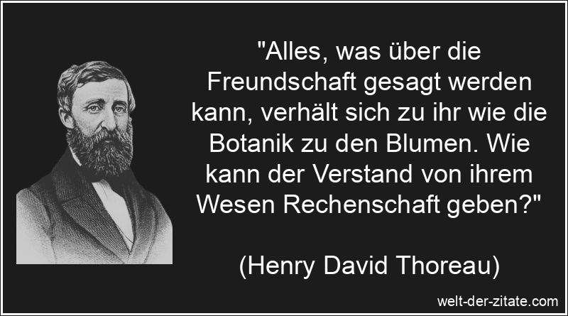„Alles, was über die Freundschaft gesagt werden kann, verhält sich zu ihr wie die Botanik zu den Blumen. Wie kann der Verstand von ihrem Wesen Rechenschaft geben?“ Henry David Thoreau Zitat Freundschaft: Alles, was über die