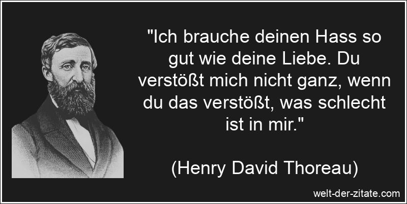 Henry David Thoreau Zitat Hass: Ich brauche deinen Hass so gut wie