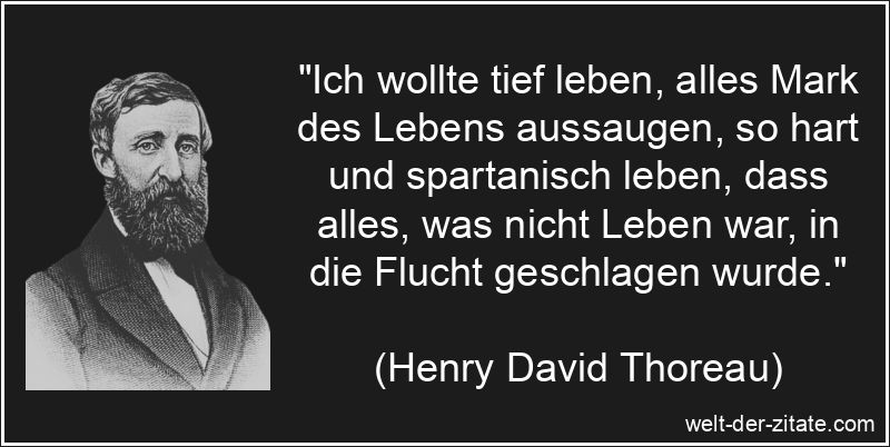 Henry David Thoreau Zitat Lebensweise: Ich wollte tief leben, alles