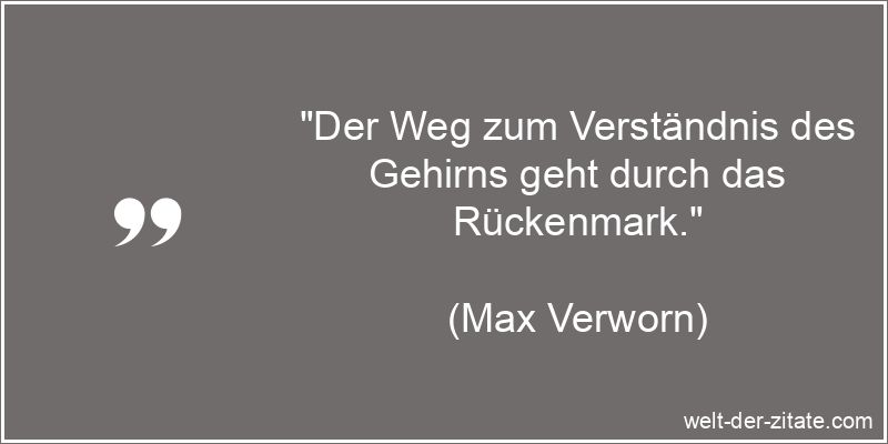 Max Verworn Zitat Verständnis: Der Weg zum Verständnis des Gehirns