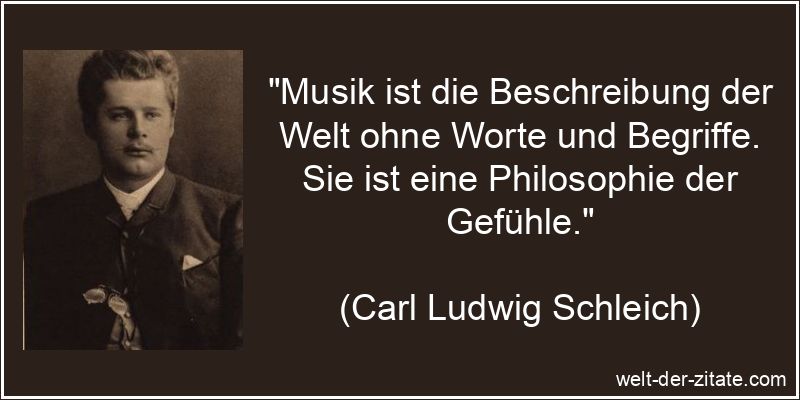 Carl Ludwig Schleich Zitat Musik: Musik ist die Beschreibung der Welt