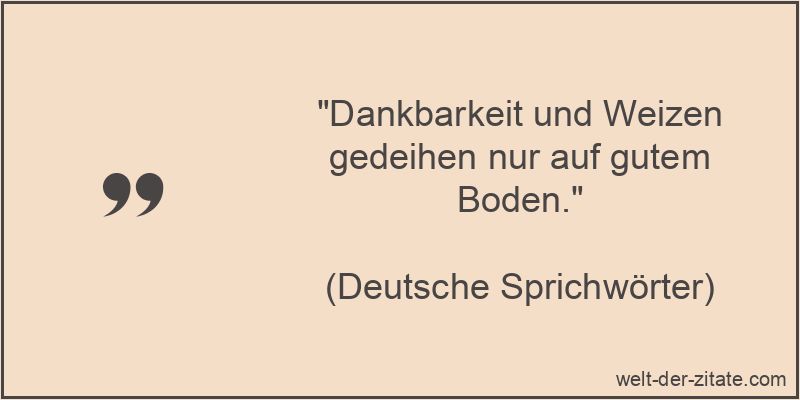 „Dankbarkeit und Weizen gedeihen nur auf gutem Boden.“ Dankbarkeit und Weizen gedeihen nur auf gutem Boden.
