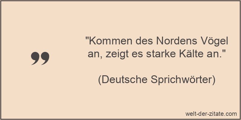Kommen des Nordens Vögel an, zeigt es starke Kälte an.