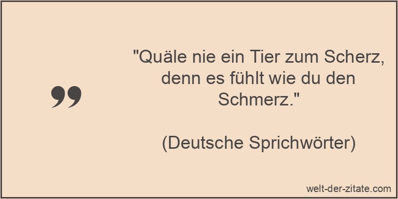 Quäle nie ein Tier zum Scherz, denn es fühlt wie du den Schmerz.