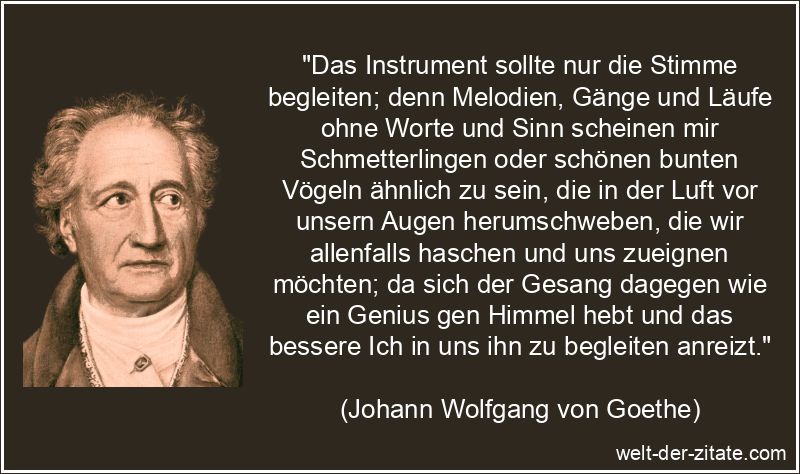 Johann Wolfgang von Goethe Zitat Instrumente: Das Instrument sollte