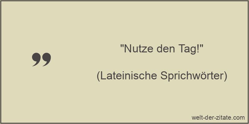 Nutze den Tag!