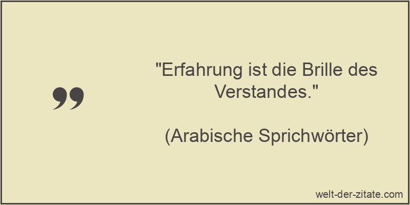 Erfahrung ist die Brille des Verstandes.