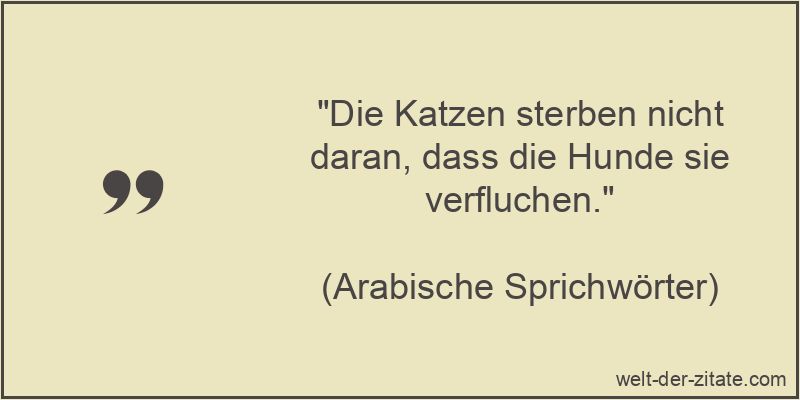 „Die Katzen sterben nicht daran, dass die Hunde sie verfluchen.“ Die Katzen sterben nicht daran, dass die Hunde sie verfluchen.