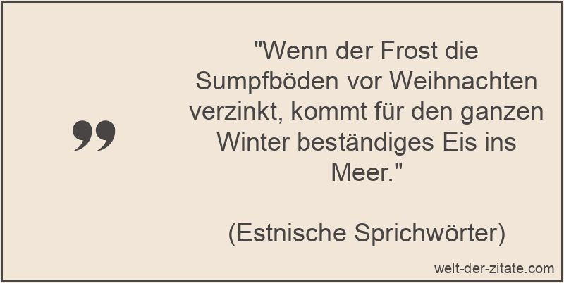 Wenn der Frost die Sumpfböden vor Weihnachten verzinkt, kommt für