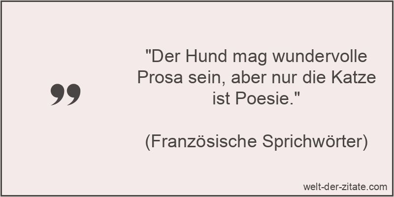 Der Hund mag wundervolle Prosa sein, aber nur die Katze ist Poesie.