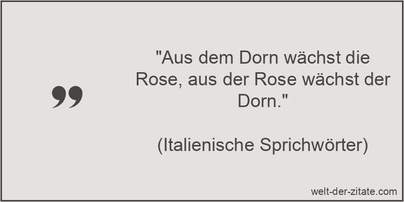 Aus dem Dorn wächst die Rose, aus der Rose wächst der Dorn.