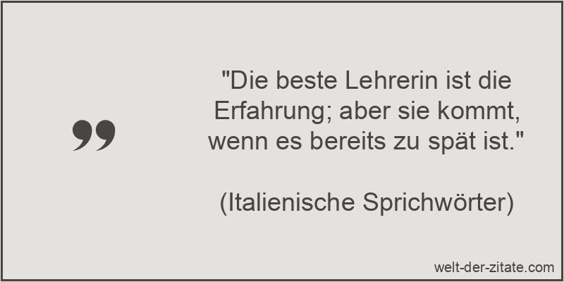Die beste Lehrerin ist die Erfahrung; aber sie kommt, wenn es bereits