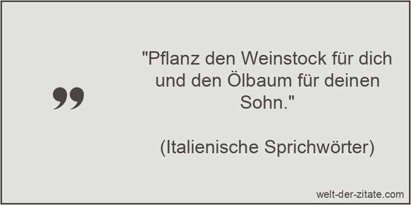 Pflanz den Weinstock für dich und den Ölbaum für deinen Sohn.