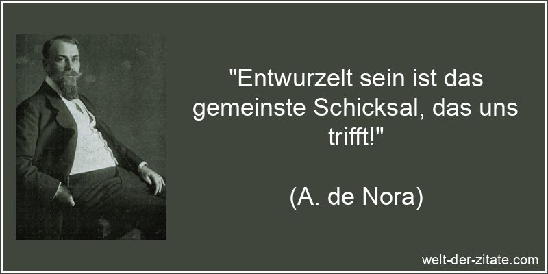 Entwurzelt sein ist das gemeinste Schicksal, das uns trifft!