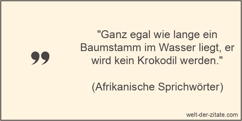 Ganz egal wie lange ein Baumstamm im Wasser liegt, er wird kein
