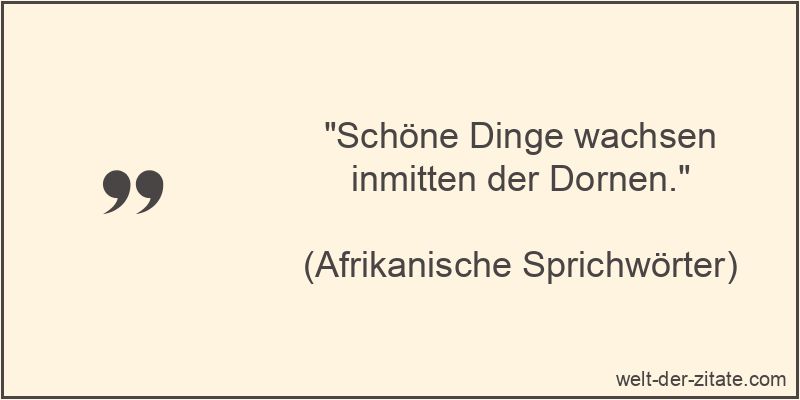 Schöne Dinge wachsen inmitten der Dornen.