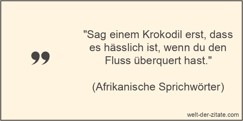 Sag einem Krokodil erst, dass es hässlich ist, wenn du den Fluss