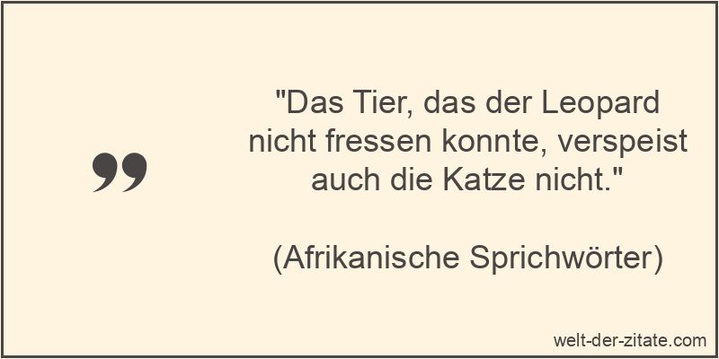 Das Tier, das der Leopard nicht fressen konnte, verspeist auch die