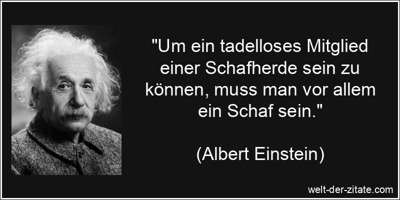 „Um ein tadelloses Mitglied einer Schafherde sein zu können, muss man vor allem ein Schaf sein.“ Um ein tadelloses Mitglied einer Schafherde sein zu können, muss man