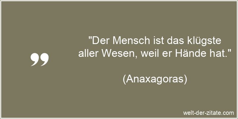 Der Mensch ist das klügste aller Wesen, weil er Hände hat.