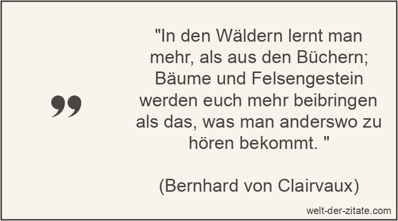 In den Wäldern lernt man mehr, als aus den Büchern; Bäume und