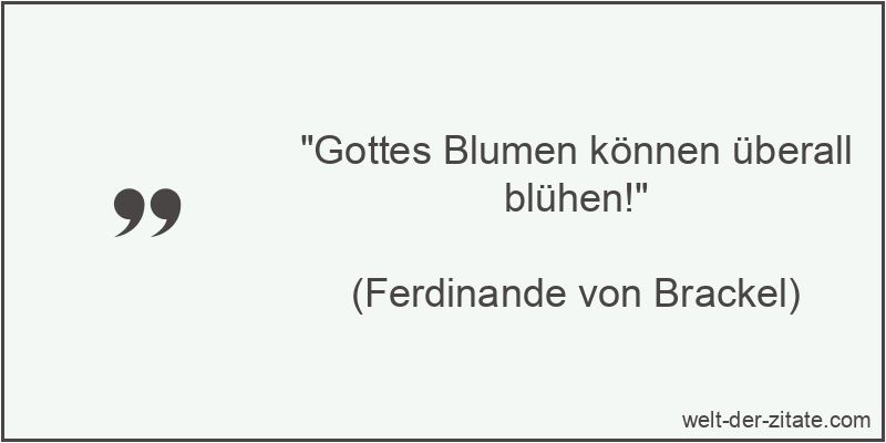 Gottes Blumen können überall blühen!