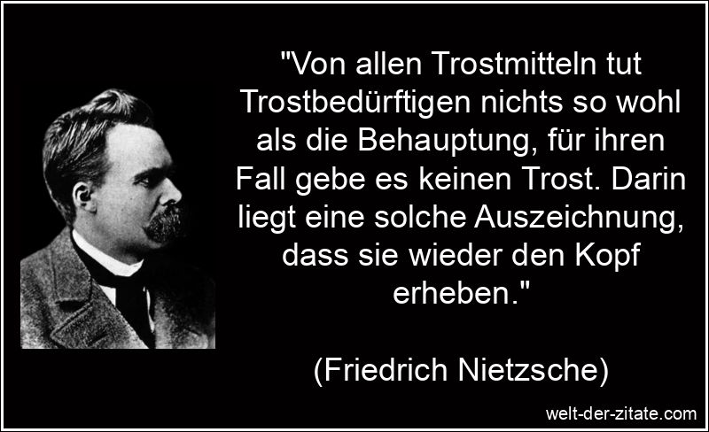 „Von allen Trostmitteln tut Trostbedürftigen nichts so wohl als die Behauptung, für ihren Fall gebe es keinen Trost. Darin liegt eine solche Auszeichnung, dass sie wieder den Kopf erheben.“ Von allen Trostmitteln tut Trostbedürftigen nichts so wohl als die