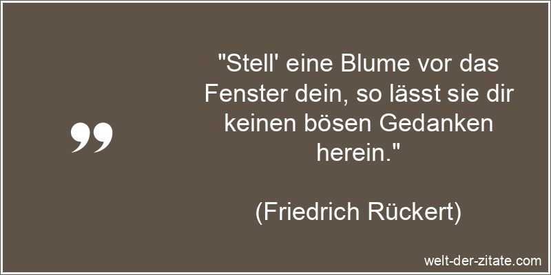 Stell' eine Blume vor das Fenster dein, so lässt sie dir keinen