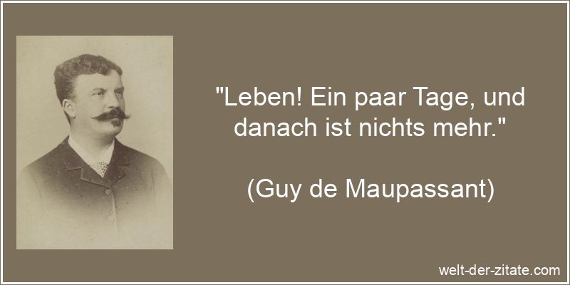 Leben! Ein paar Tage, und danach ist nichts mehr.